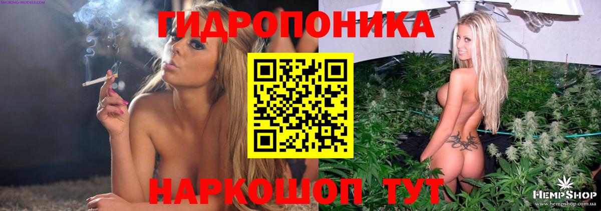 Каннабис сатива Губкин